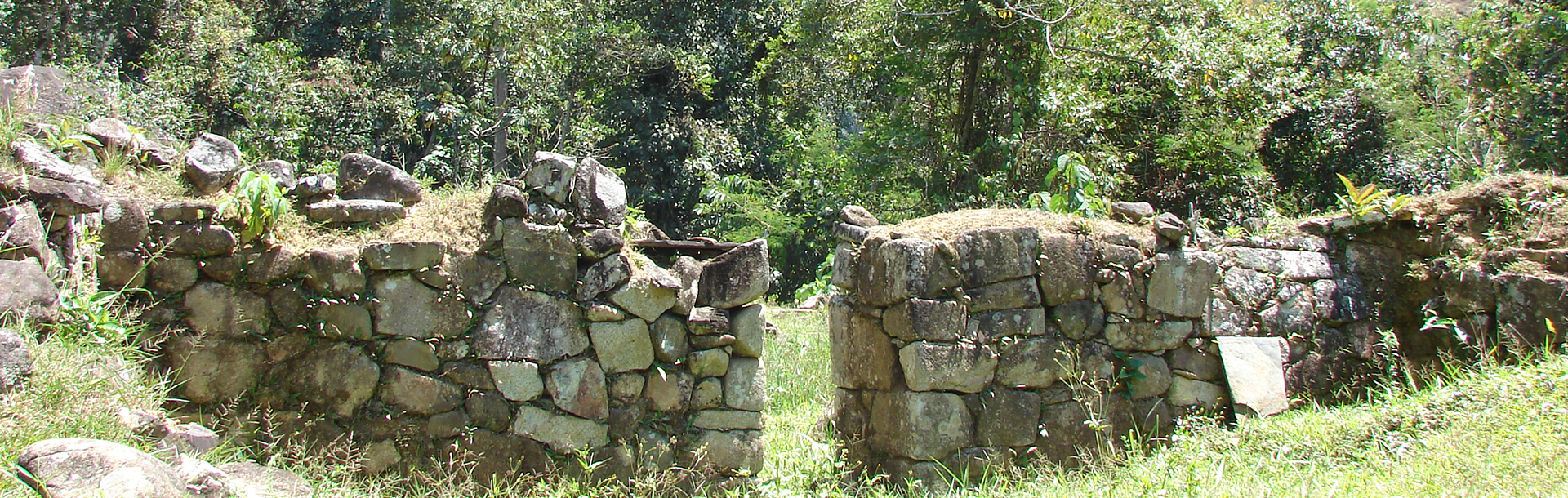 Espiritupampa 7D