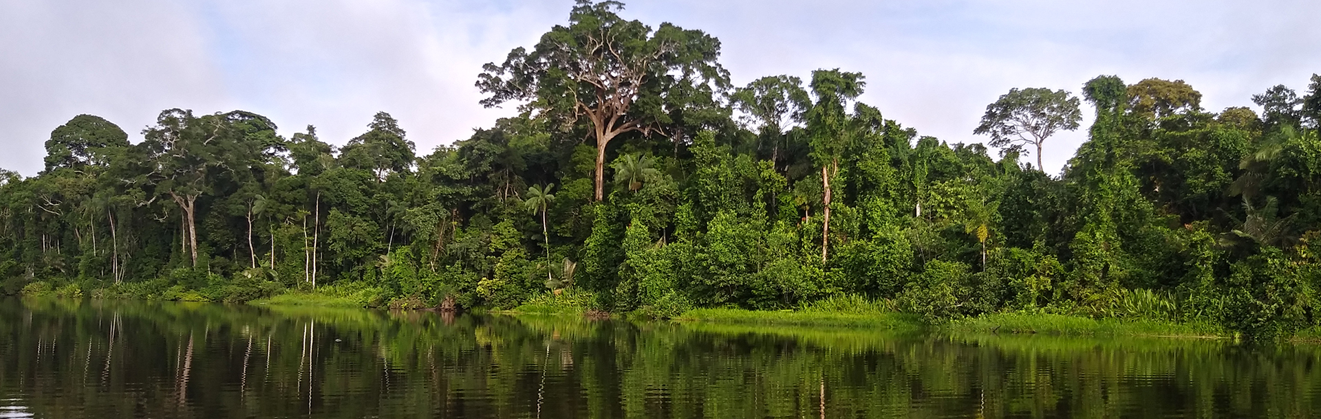 Rainforest – Posada Amazonas 4D