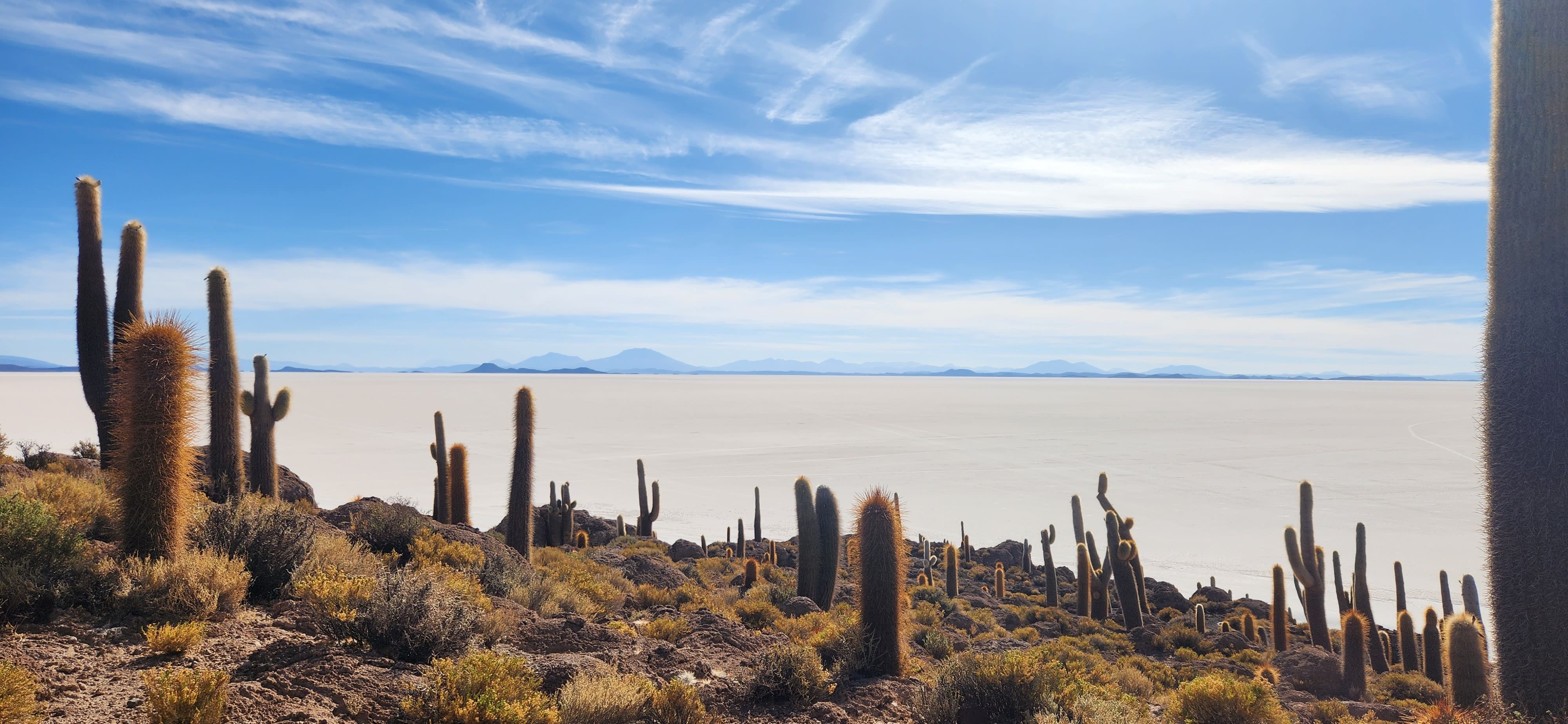 Uyuni Salt Pans 3D