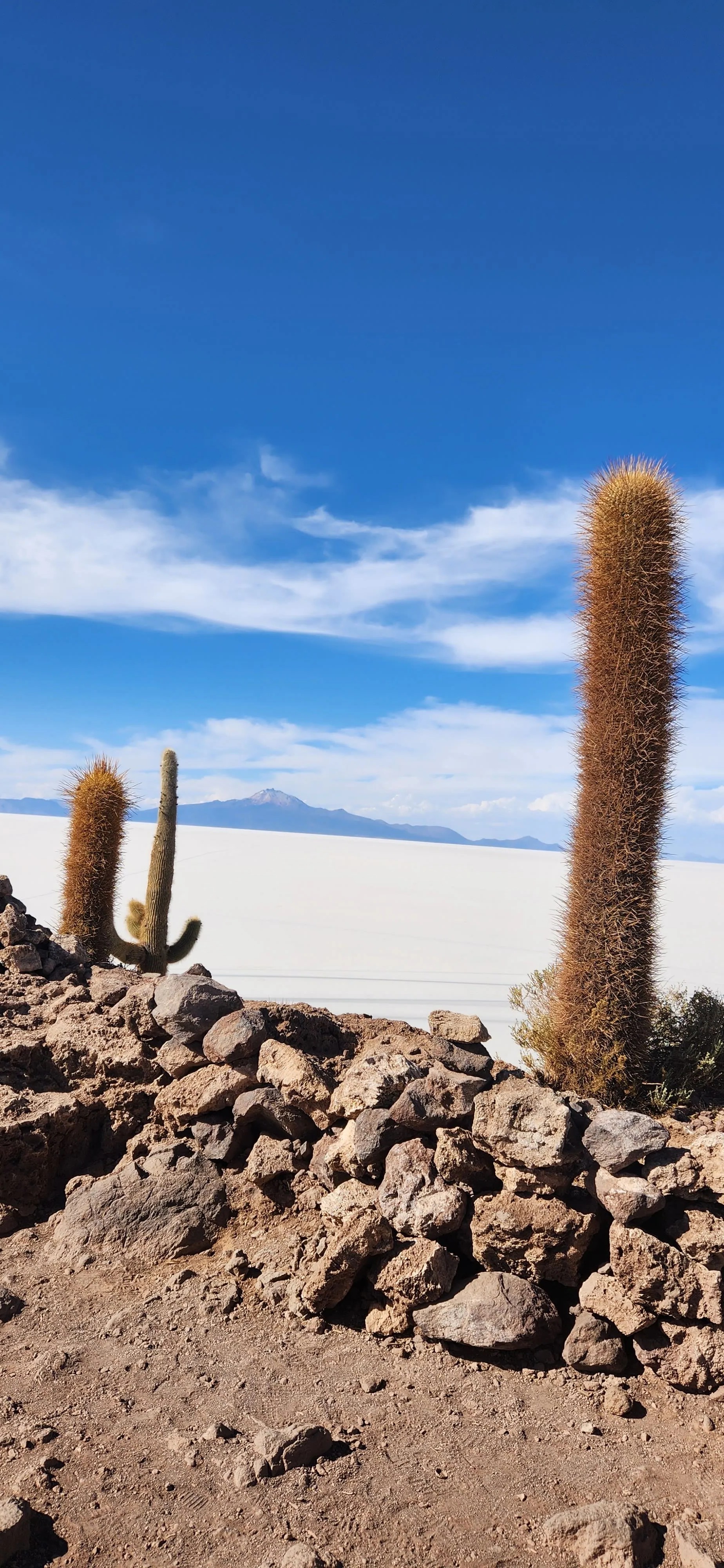 Salar de Uyuni 3 días