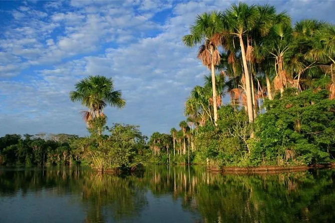 Experiencia Cusco y Selva Tropical 8 días