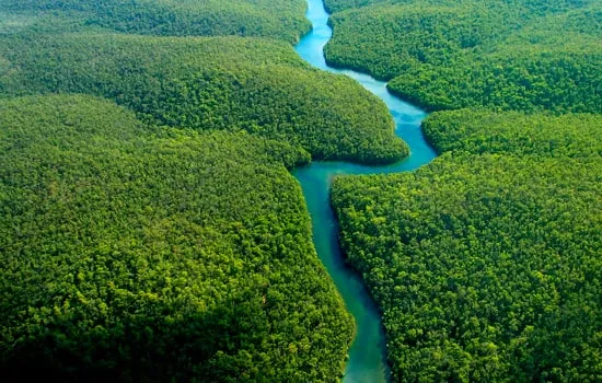 Selva Tropical – Posada Amazonas 4 días