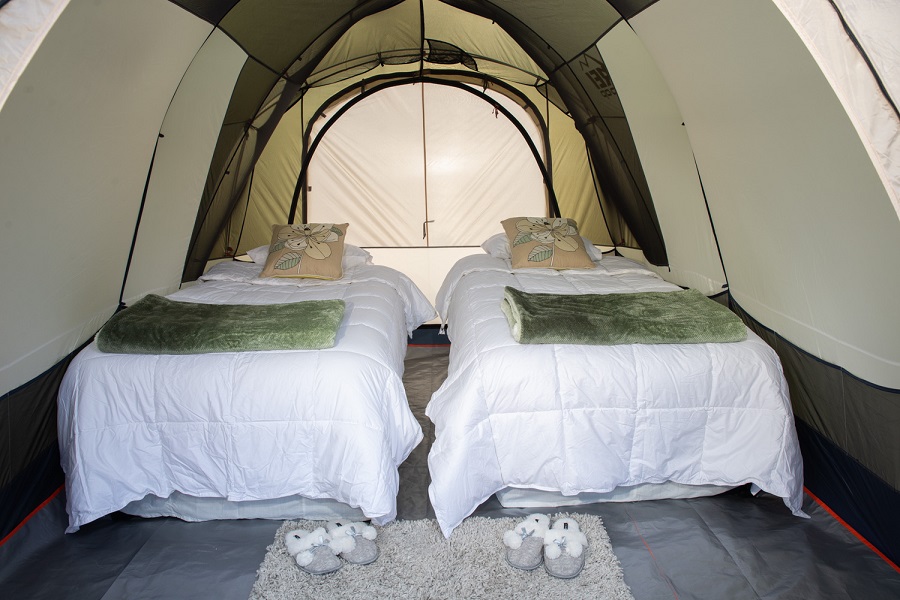 REI Kingdom 6 tent in the Andes