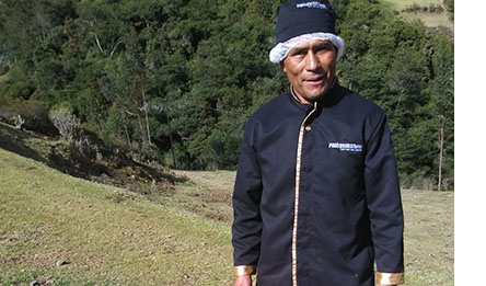 Alex Jimenez Llanos
